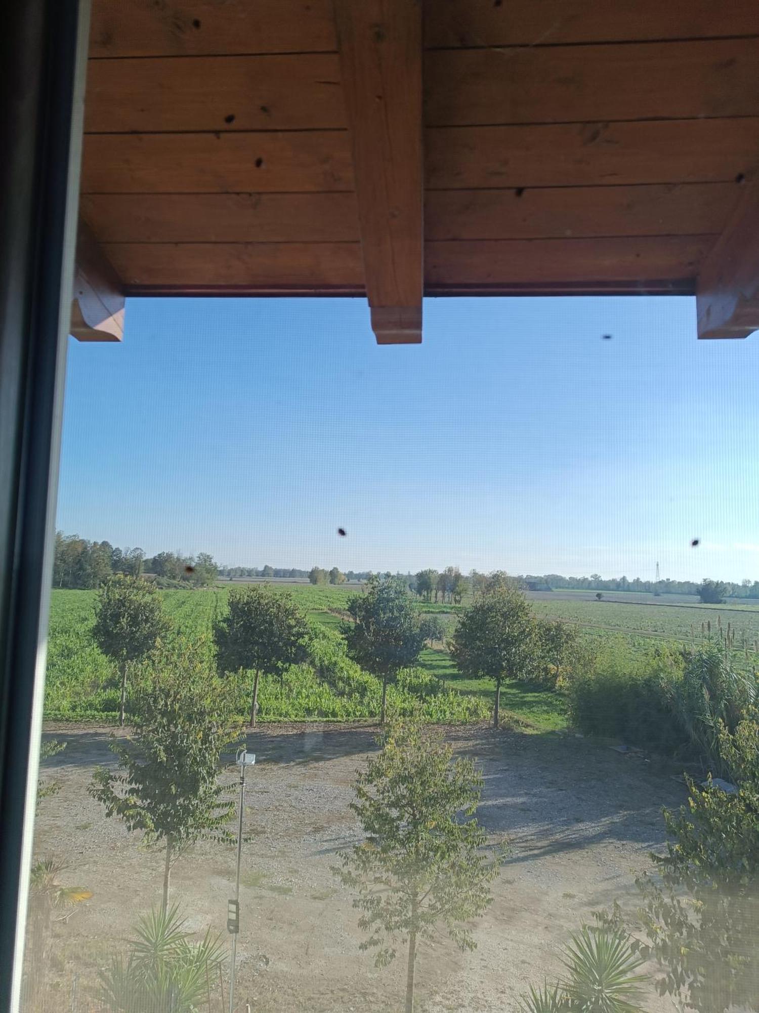 Le Fontanelle Da Valente Farm stay *